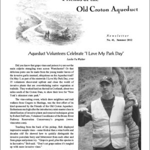 41_summer_2012-cover